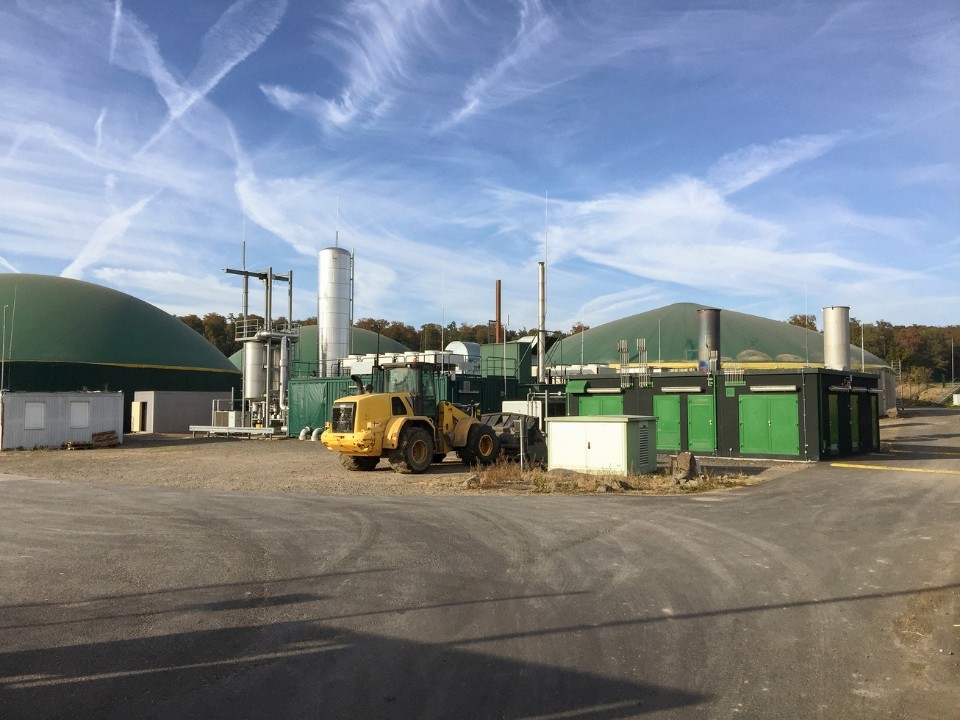 Biogas_Biomass Combustion