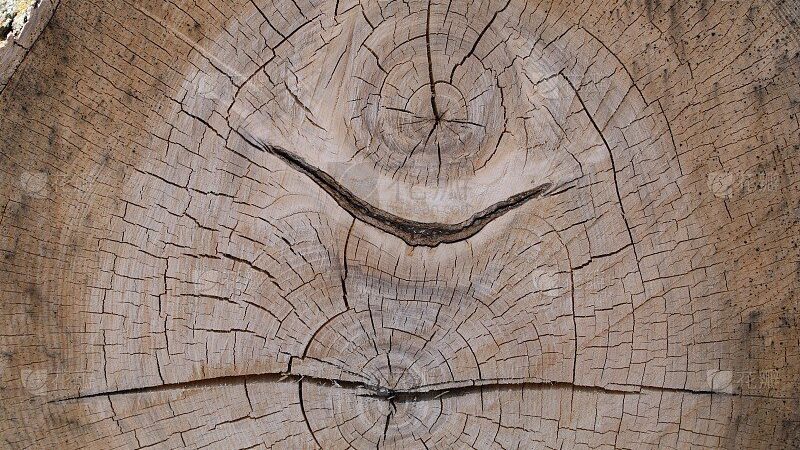 oak lumber cracking