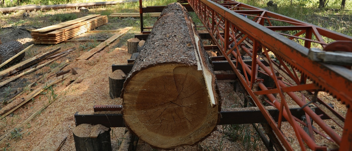green timber with high moisture content and seasoned timber ready for use