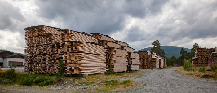 Stacked timber drying naturally under a ventilated shed, showing air seasoning process
