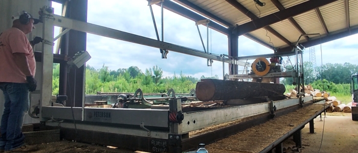 Southern Yellow Pine will be kiln dried in high-frequency vacuum kiln