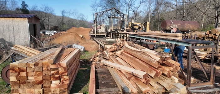 Cutting green lumber