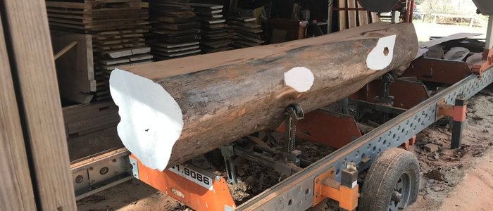 Sealing Sawmill Logs