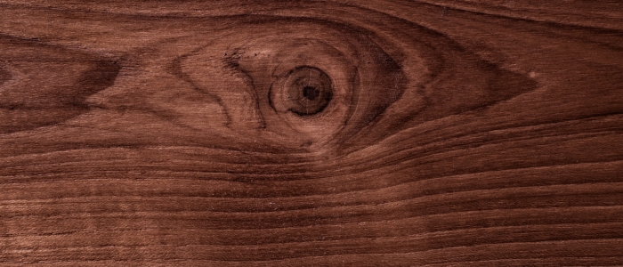 Walnut slab with deep brown color and rich grain patterns