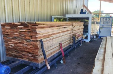 Shuowei kiln dried quality lumber high frequency vacuum kiln for drying wood